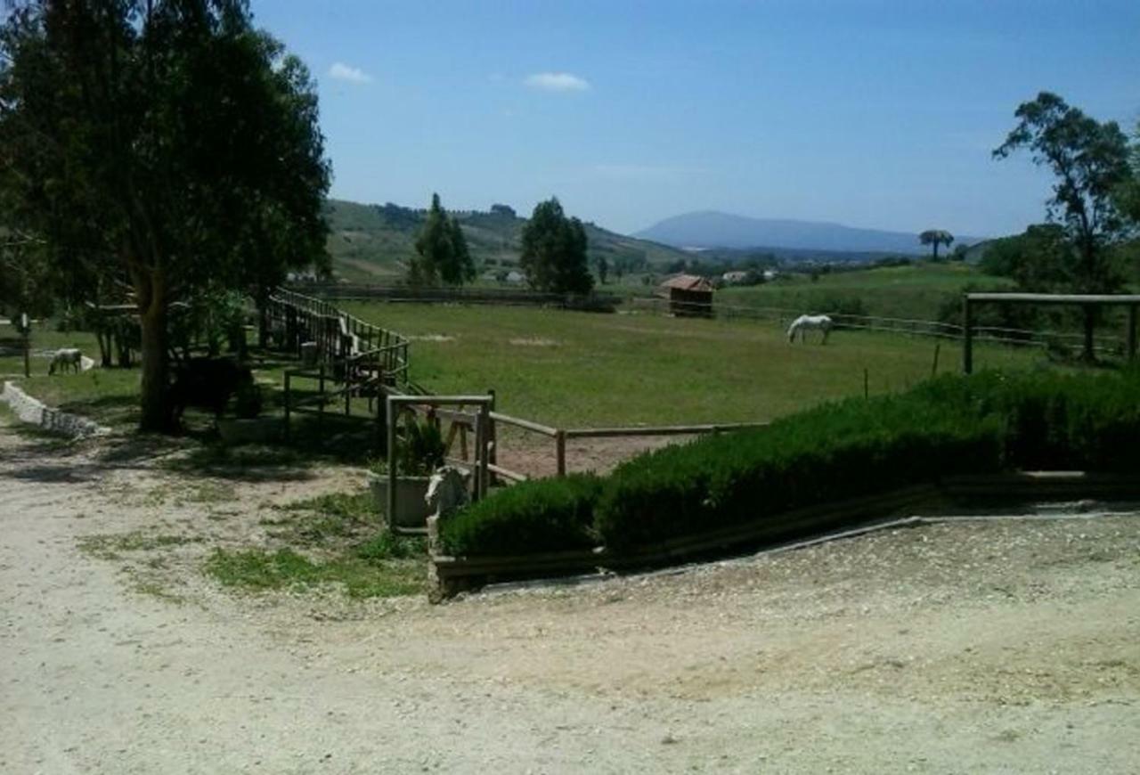 Herdade Da Hera Azambuja Kültér fotó