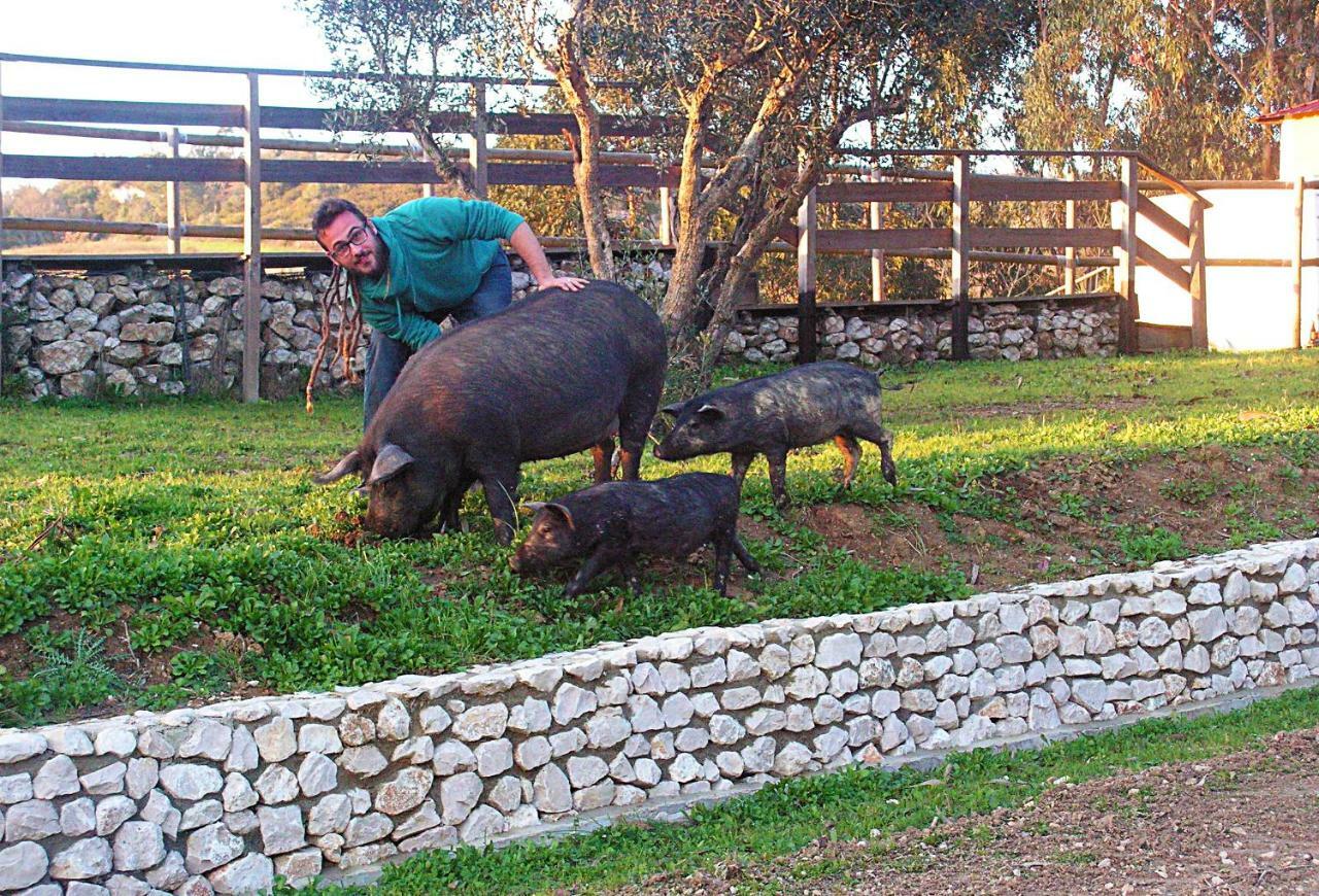 Herdade Da Hera Azambuja Kültér fotó