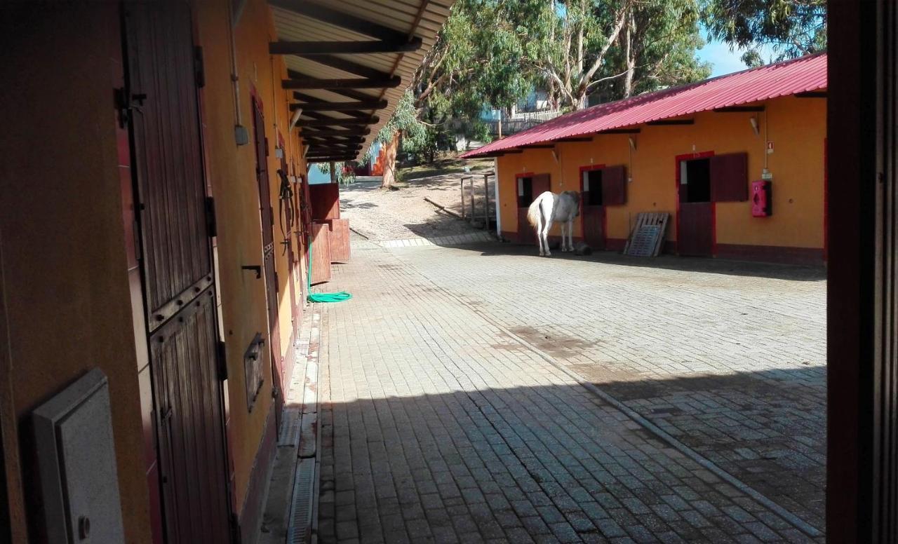 Herdade Da Hera Azambuja Kültér fotó